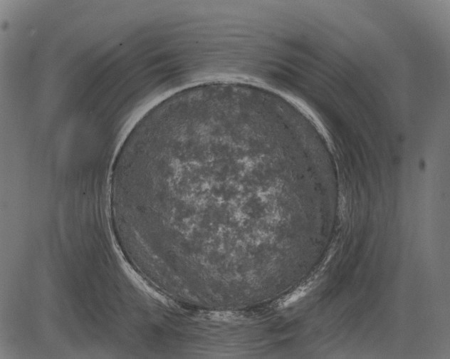 X0000084520903200703091559