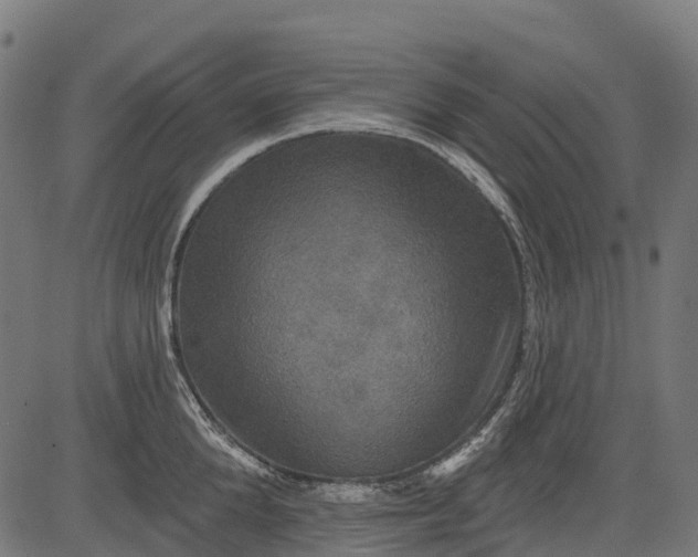 X0000084520904200703091559