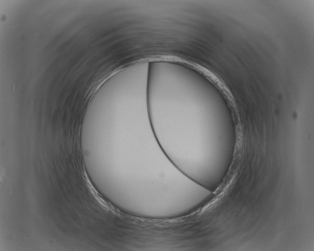 X0000084520905200703091559