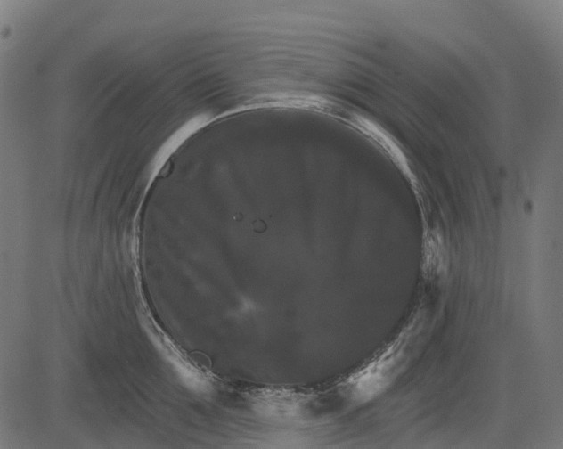 X0000084520907200703091559