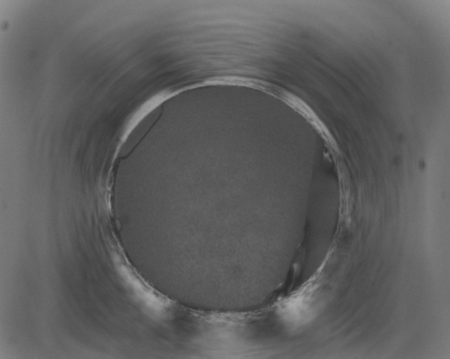 X0000084520908200703091559