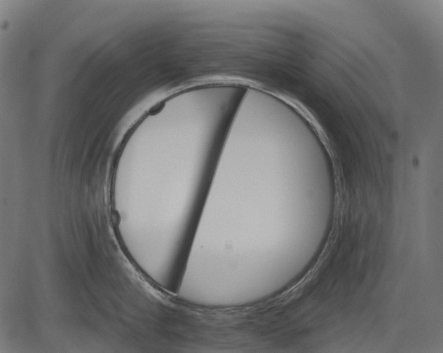 X0000084520910200703091559