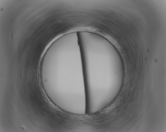 X0000084520912200703091558