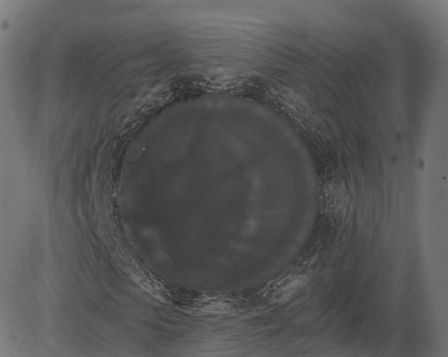 X0000084520913200703091558