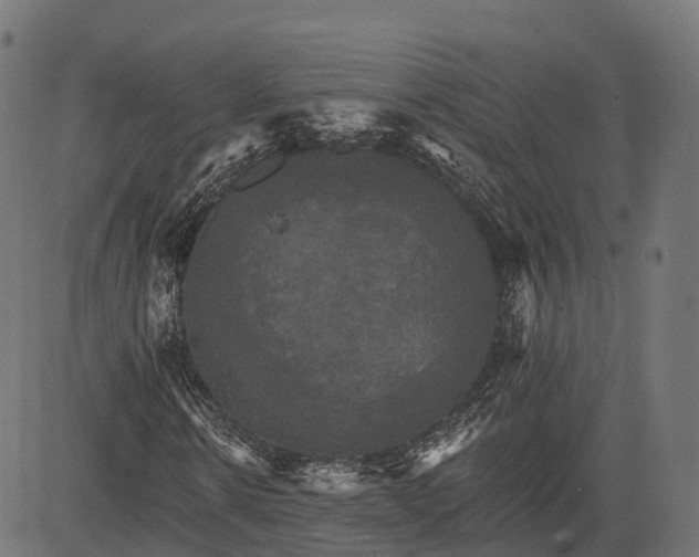 X0000084520914200703091558