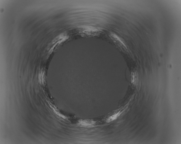 X0000084520915200703091558