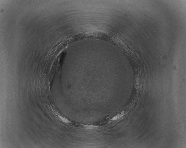 X0000084520916200703091558