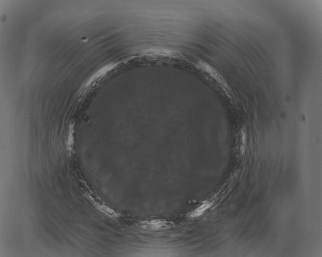 X0000084520919200703091558