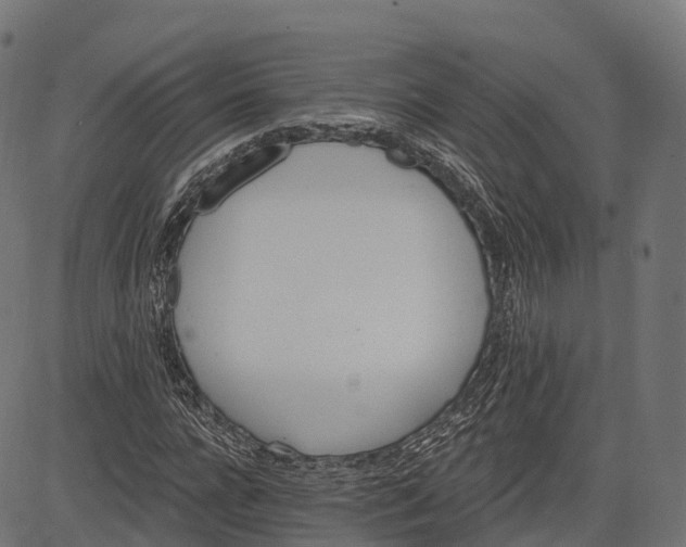 X0000084520920200703091558