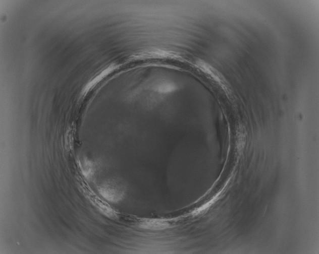 X0000084520921200703091558