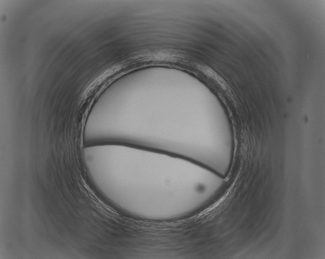 X0000084520922200703091558