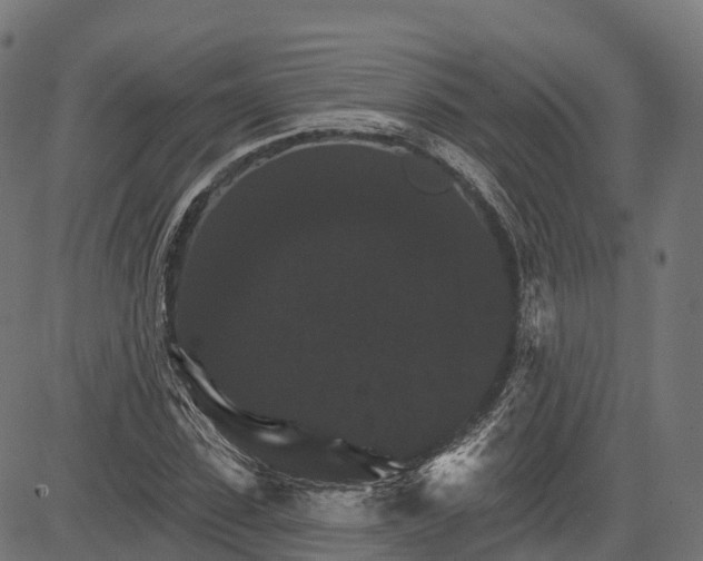 X0000084520923200703091558