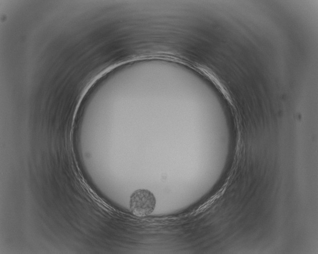 X0000084520924200703091558