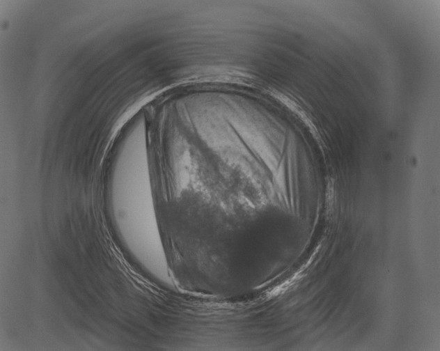 X0000084520925200703091558