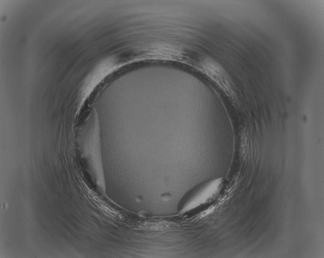 X0000084520926200703091558