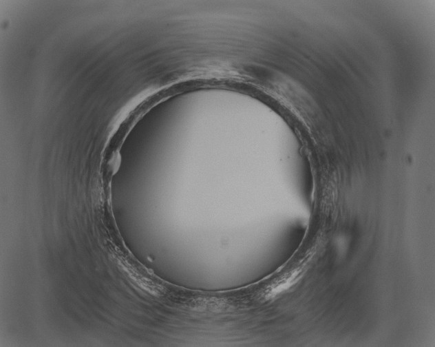 X0000084520927200703091558