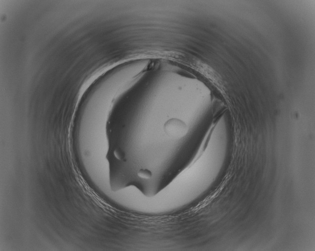 X0000084520928200703091558