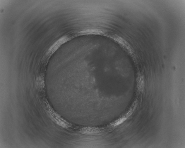 X0000084520929200703091558