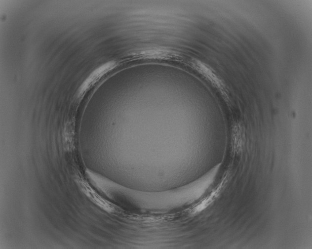 X0000084520930200703091558