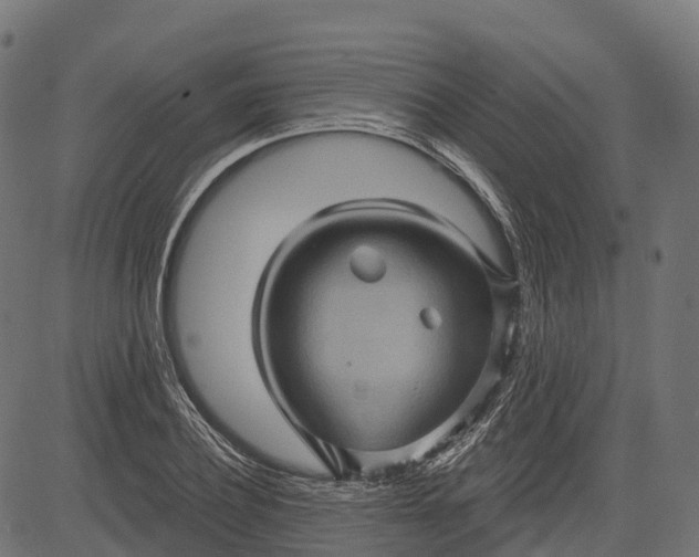 X0000084520932200703091558