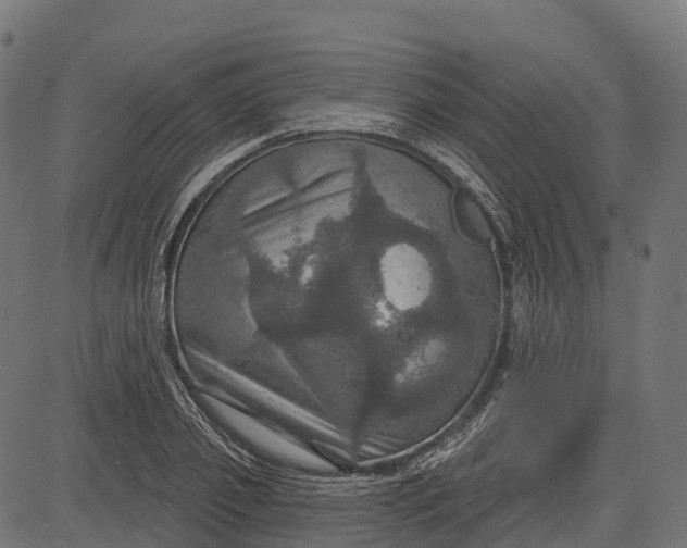 X0000084520933200703091558