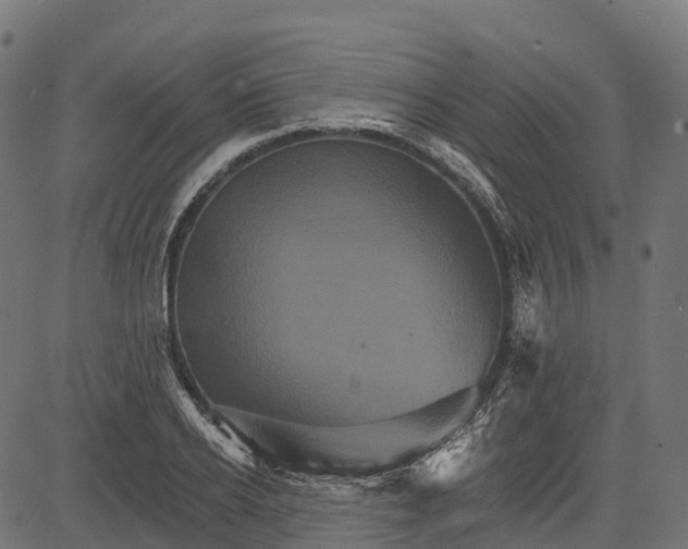 X0000084520934200703091558