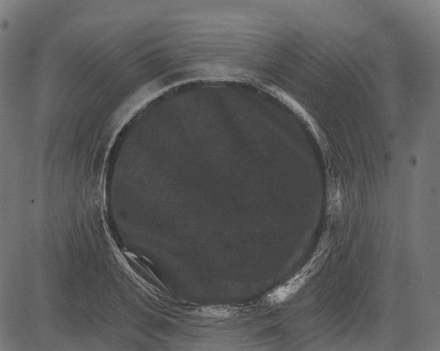 X0000084520935200703091558