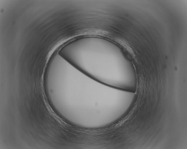 X0000084520936200703091558