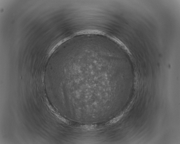 X0000084520937200703091558