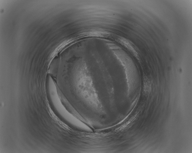 X0000084520938200703091558