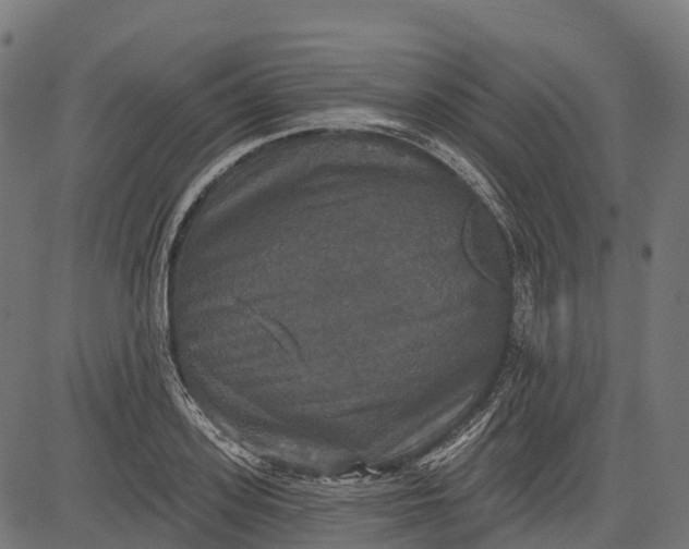 X0000084520939200703091558