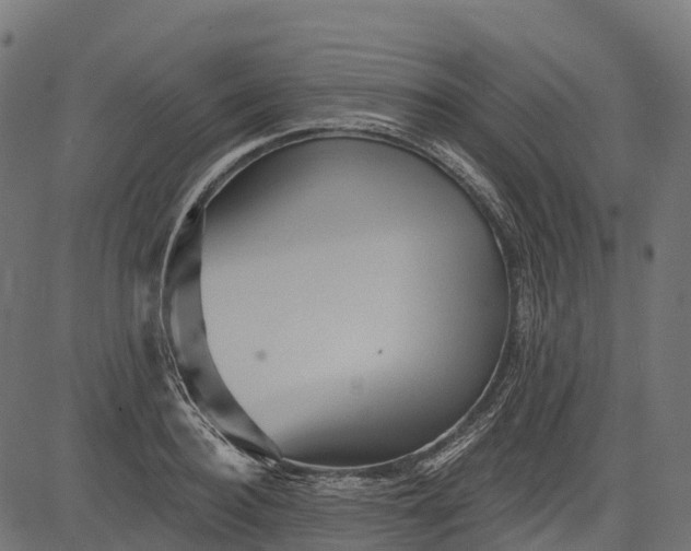 X0000084520940200703091558