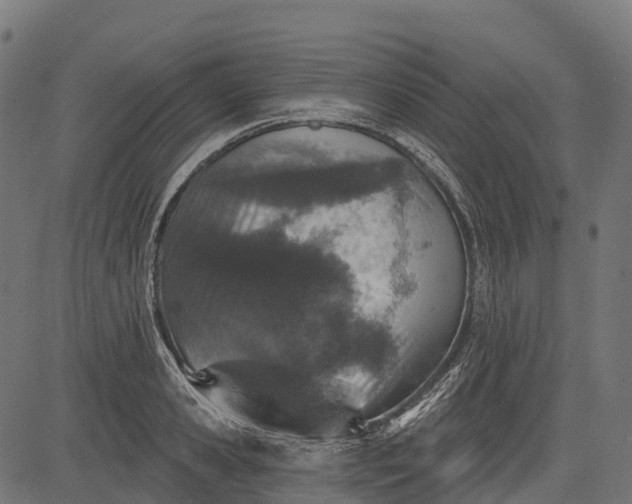 X0000084520941200703091558