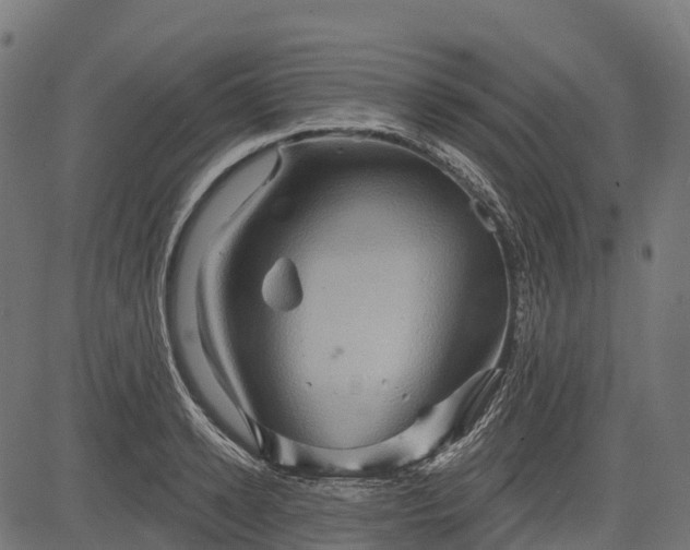 X0000084520942200703091558