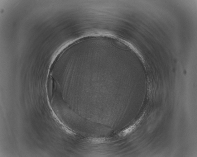 X0000084520943200703091558