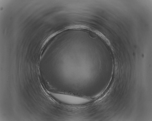 X0000084520945200703091558