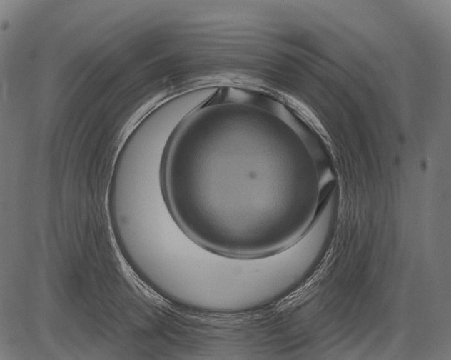 X0000084520946200703091558