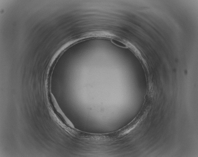 X0000084520947200703091558