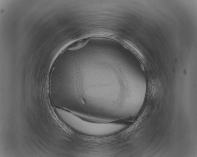 X0000084520948200703091558