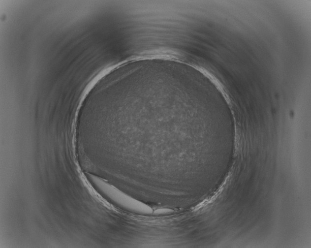 X0000084520949200703091558