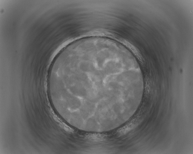 X0000084520950200703091558