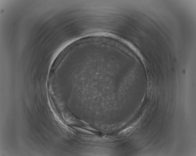 X0000084520951200703091558