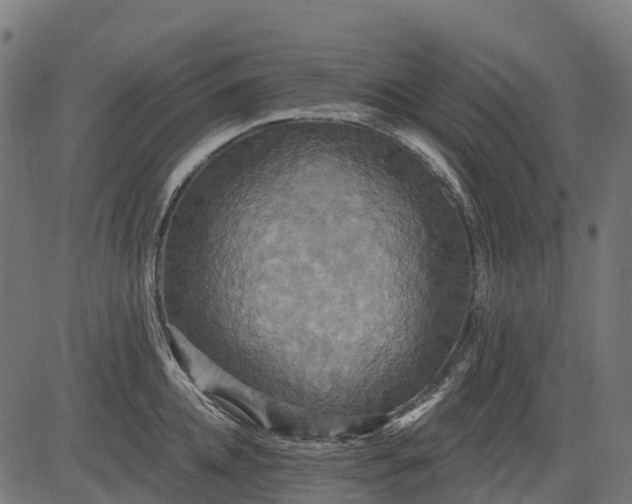 X0000084520952200703091558