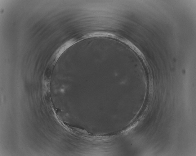 X0000084520953200703091558