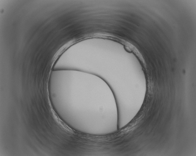 X0000084520954200703091558