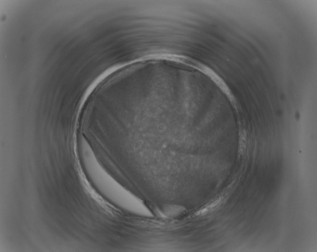 X0000084520955200703091558