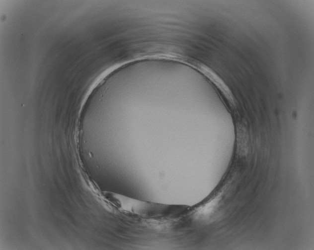 X0000084520956200703091558