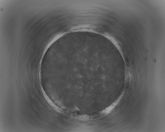 X0000084520957200703091558