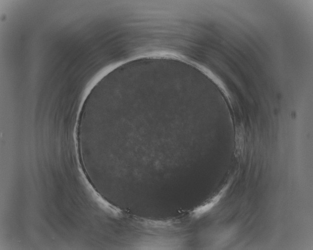 X0000084520959200703091558