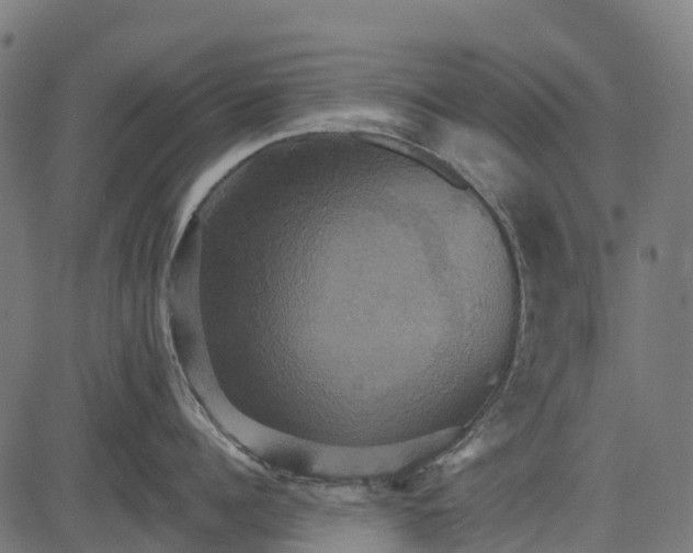 X0000084520960200703091558